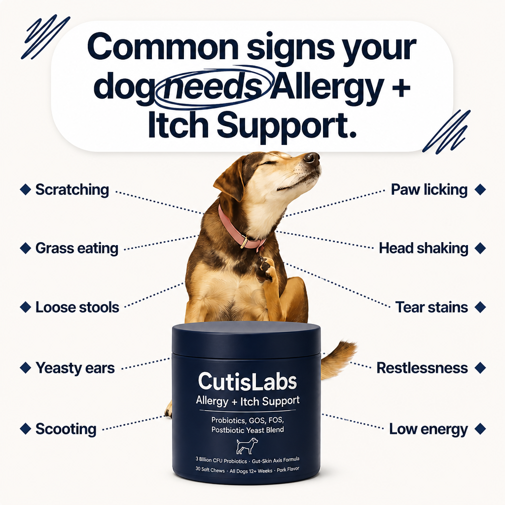 Probiotic Chew for Dog Gut Health
