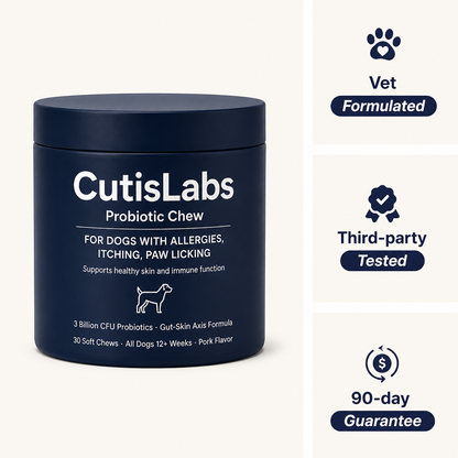 Probiotic Chew for Dog Gut Health