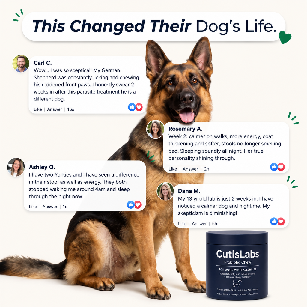 Probiotic Chew for Dog Gut Health