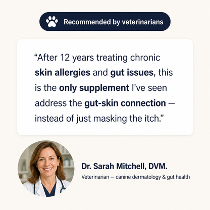 Probiotic Chew for Dog Gut Health