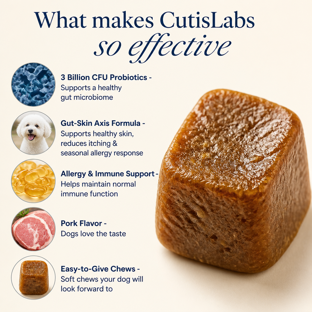 Probiotic Chew for Dog Gut Health